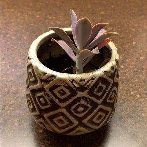 Meet your Posher, Zy